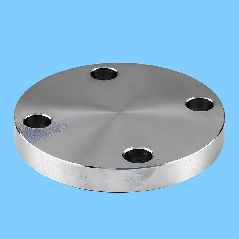 Blind Flange view 2